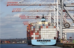 Các hãng tàu biển lớn trên thế giới tạm ngừng vận chuyển hàng hóa đến và đi từ Nga