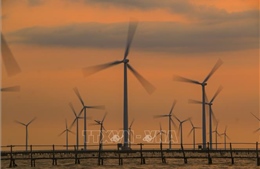 Doanh nghiệp Hoa Kỳ tìm cơ hội hợp tác đầu tư phát triển năng lượng sạch