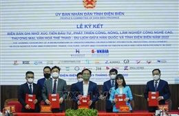 Xúc tiến thu hút doanh nghiệp Hàn Quốc đầu tư vào Điện Biên