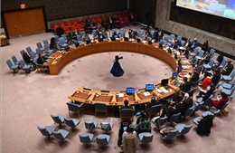 Hội đồng bảo an Liên hợp quốc không thông qua nghị quyết về Ukraine