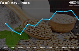 Bản tin MXV 29/3: Giá dầu thô, nông sản đồng loạt lao dốc