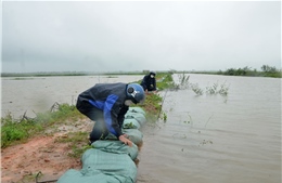 Quảng Trị: Mưa lớn khiến gần 3.000 ha lúa bị ngập