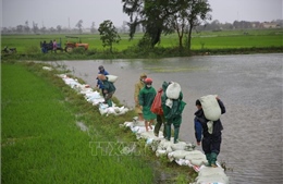 Tập trung hỗ trợ người dân Quảng Trị khắc phục hậu quả mưa lũ
