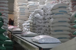 Vùng lũ đầu nguồn phát triển ngành xay xát lúa gạo