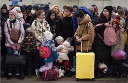 Hội đồng Bảo an LHQ tìm kiếm giải pháp về vấn đề người tị nạn Ukraine