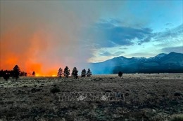 Cháy rừng lan rộng tại miền Tây Nam nước Mỹ