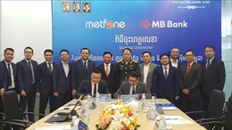 Triển khai gói tín dụng 100 triệu USD nâng cấp mạng lưới viễn thông tại Campuchia