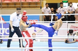 Kickboxing Việt Nam có thêm 3 vận động viên lọt vào vòng chung kết