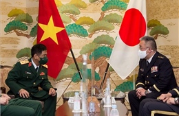 Thúc đẩy hợp tác giao lưu giữa Lục quân hai nước Việt Nam - Nhật Bản