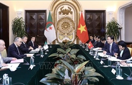 Tham vấn chính trị cấp Thứ trưởng Ngoại giao Việt Nam - Algeria