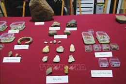 Báo cáo sơ bộ kết quả khai quật Di tích khảo cổ học Thác Hai, Đắk Lắk