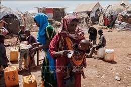 Khả năng EU tạm đình chỉ tài trợ cho các hoạt động của WFP tại Somalia