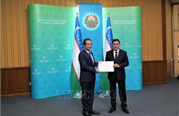 Đại sứ Việt Nam tại Uzbekistan trình Quốc thư