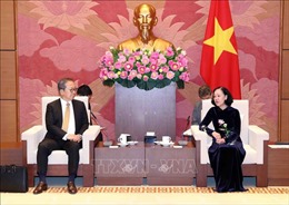 Thúc đẩy quan hệ đối tác chiến lược Việt Nam – Nhật Bản qua kênh nghị viện