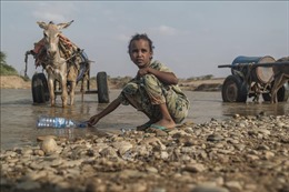 WFP cảnh báo tình trạng mất an ninh lương thực ở miền Nam Ethiopia 