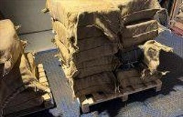 Bỉ bắt giữ 900kg cocaine được giấu trong thùng hàng chứa hạt cacao