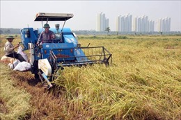 Hà Nội khuyến khích đầu tư vào cơ giới hóa trong sản xuất nông nghiệp