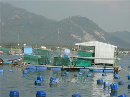 Khánh Hòa điều chỉnh khu vực nuôi trồng thủy sản trên biển