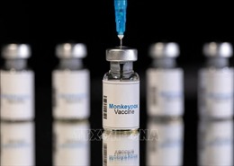 Đan Mạch tiêm vaccine phòng bệnh đậu mùa khỉ cho các nhóm dễ tổn thương
