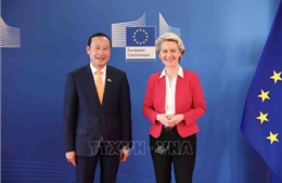 Lĩnh vực tạo dấu mốc dấu trong quan hệ Việt Nam – EU 