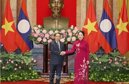 Phó Chủ tịch nước Võ Thị Ánh Xuân hội đàm với Phó Chủ tịch nước Lào Bounthong Chitmany