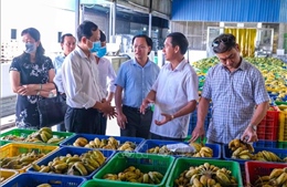 Kết nối, quảng bá tiêu thụ, xuất khẩu nông sản giữa Cần Thơ và Lạng Sơn