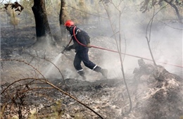 Cháy rừng tại châu Âu được đánh giá nghiêm trọng hơn cả năm 2021