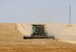 Thổ Nhĩ Kỳ lạc quan về thỏa thuận xuất khẩu ngũ cốc Ukraine