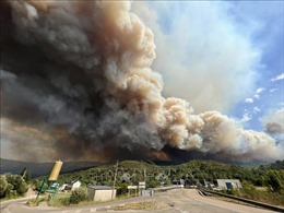 Năm 2022 có thể là năm cháy rừng kỷ lục ở châu Âu