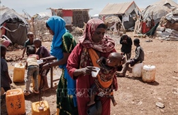 Somalia mất an ninh lương thực, AfDB tài trợ khẩn cấp