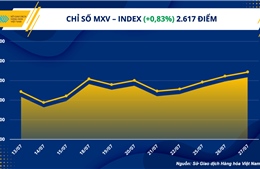 Chỉ số MXV-Index nối dài đà tăng ngày thứ tư liên tiếp