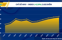 Nhiều mặt hàng trong nhóm kim loại và nông sản tăng vọt