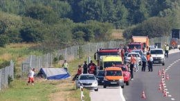 Croatia: Xe buýt chở người hành hương mất lái trên cao tốc, 12 người thiệt mạng