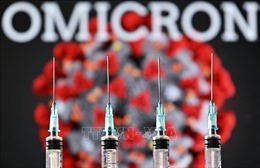 EMA rà soát sớm phiên bản vaccine dành cho các dòng phụ mới của Omicron