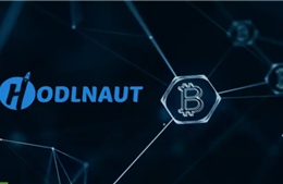 Nền tảng cho vay tiền điện tử Hodlnaut ngừng giao dịch rút tiền