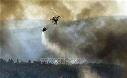 Năm 2022 ghi nhận số vụ cháy rừng cao kỷ lục ở Tây Nam châu Âu