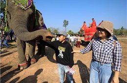Du lịch thân thiện cùng voi - Bảo tồn để phát triển