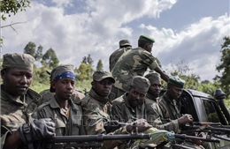 Phiến quân thực hiện nhiều vụ thảm sát tại CHDC Congo