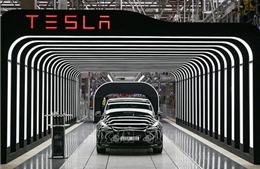 Tesla tiếp tục giảm giá tới 5.000 USD mỗi xe để giành &#39;thượng đế&#39;