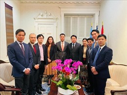 Đại sứ Việt Nam tại LHQ chúc Tết cổ truyền của Lào, Campuchia