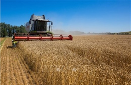 Thêm Hungary cấm nhập khẩu nông sản của Ukraine