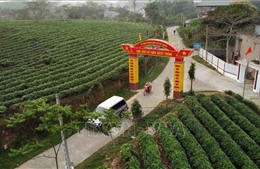 Xây dựng nông thôn mới ở huyện vùng cao Hàm Yên