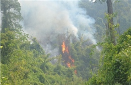 Lào: Nỗ lực dập tắt các đám cháy rừng