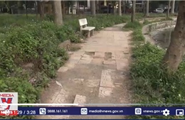 Nhiều công viên ở Hà Nội xuống cấp, mất an toàn