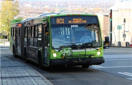 Canada mua hơn 1.000 xe buýt điện để tăng cường mạng lưới giao thông công cộng 