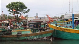 Tiền Giang: Chấm dứt tình trạng tàu cá vi phạm vùng biển nước ngoài