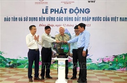 Bảo tồn, sử dụng bền vững các vùng đất ngập nước của Việt Nam