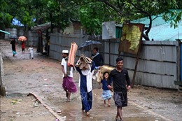 Bão Mocha gây thiệt hại lớn ở Đông Nam Bangladesh