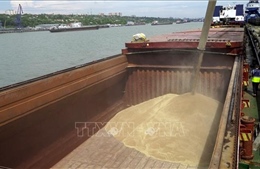 Nga giữ vững lập trường về các điều kiện thực thi Sáng kiến ngũ cốc Biển Đen 