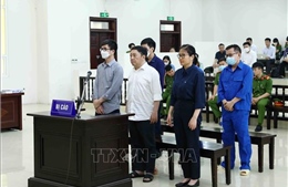 Xét xử phúc thẩm vụ án xảy ra tại Bệnh viện Đa khoa tỉnh Đồng Nai và Công ty AIC